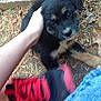 Copper is registered to the contest to win money with this photo: