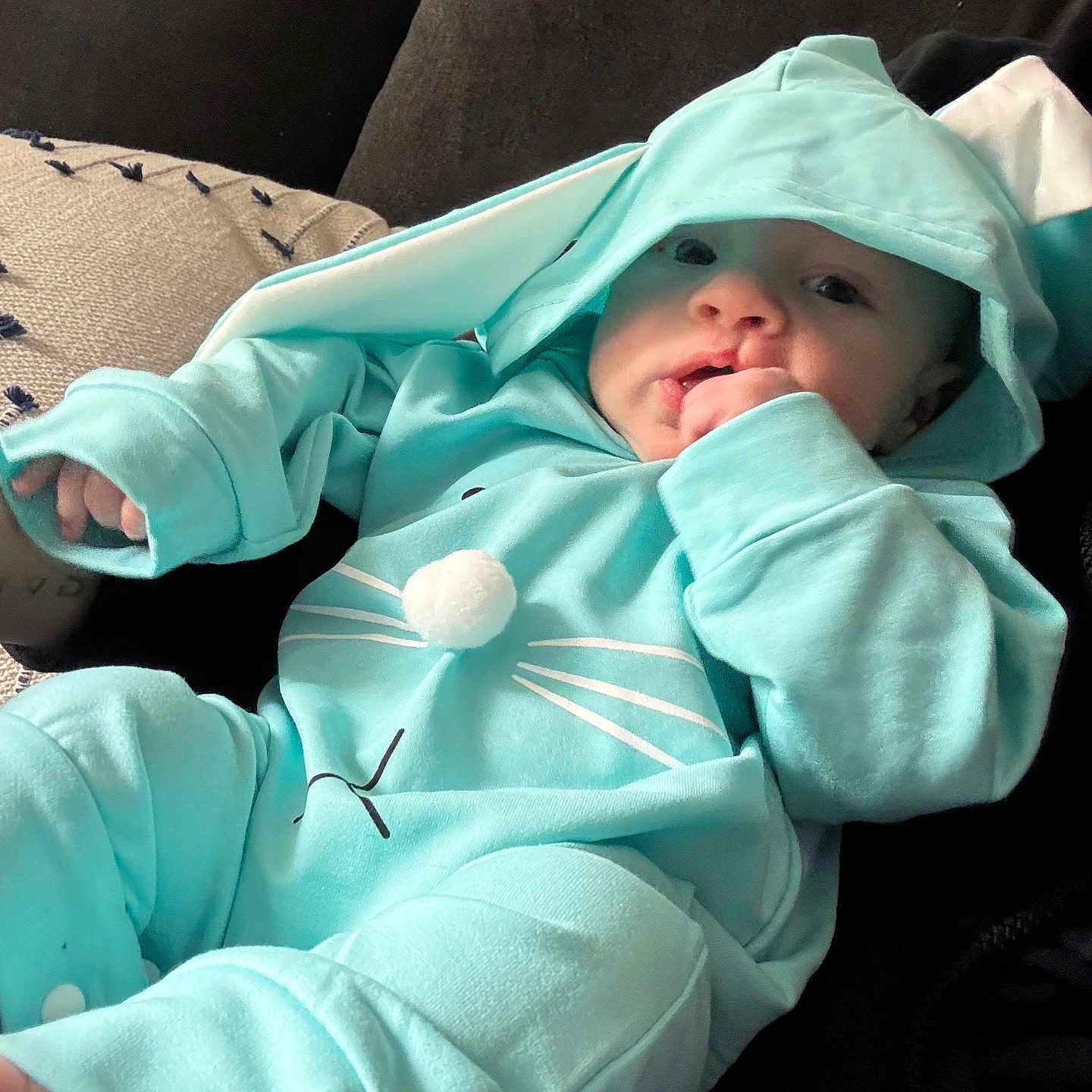 Joel is registered to the contest to win money with this photo: baby, blanket, clothing, coat, couch, cushion, face, furniture, hat, head, homedecor, hood, hoodie, jacket, knitwear, newborn, person, photography, portrait, sweater