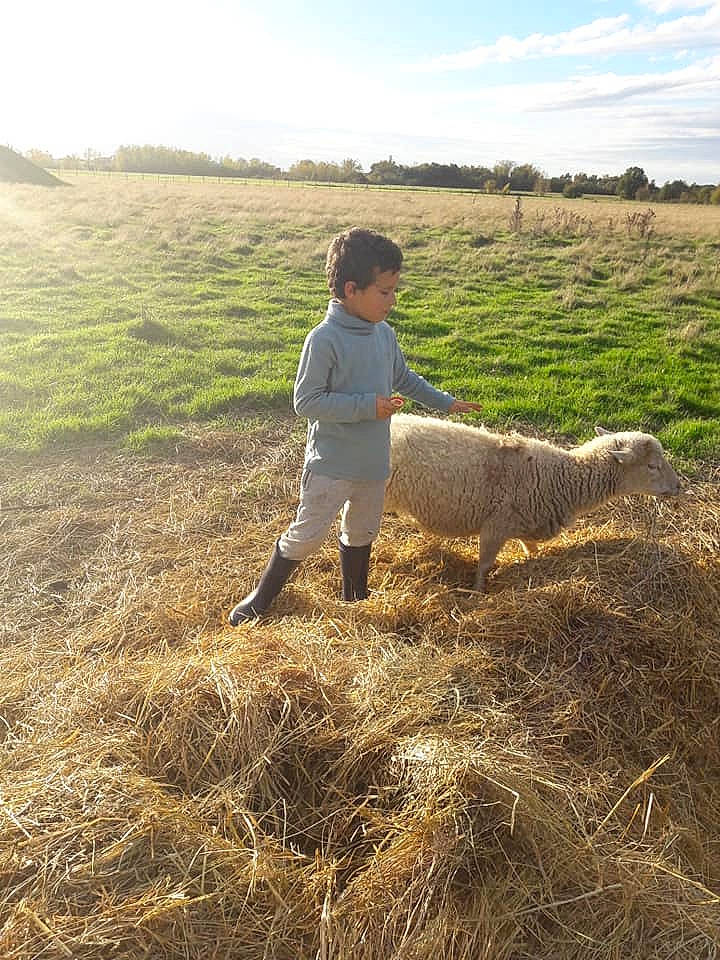 Bichette participe au concours pour gagner de l'argent avec cette photo : agriculture, crop, ecoregion, farm, field, grass, grass_family, grassland, harvest, hay, pasture, person, plant, prairie, rural_area, soil, steppe, straw