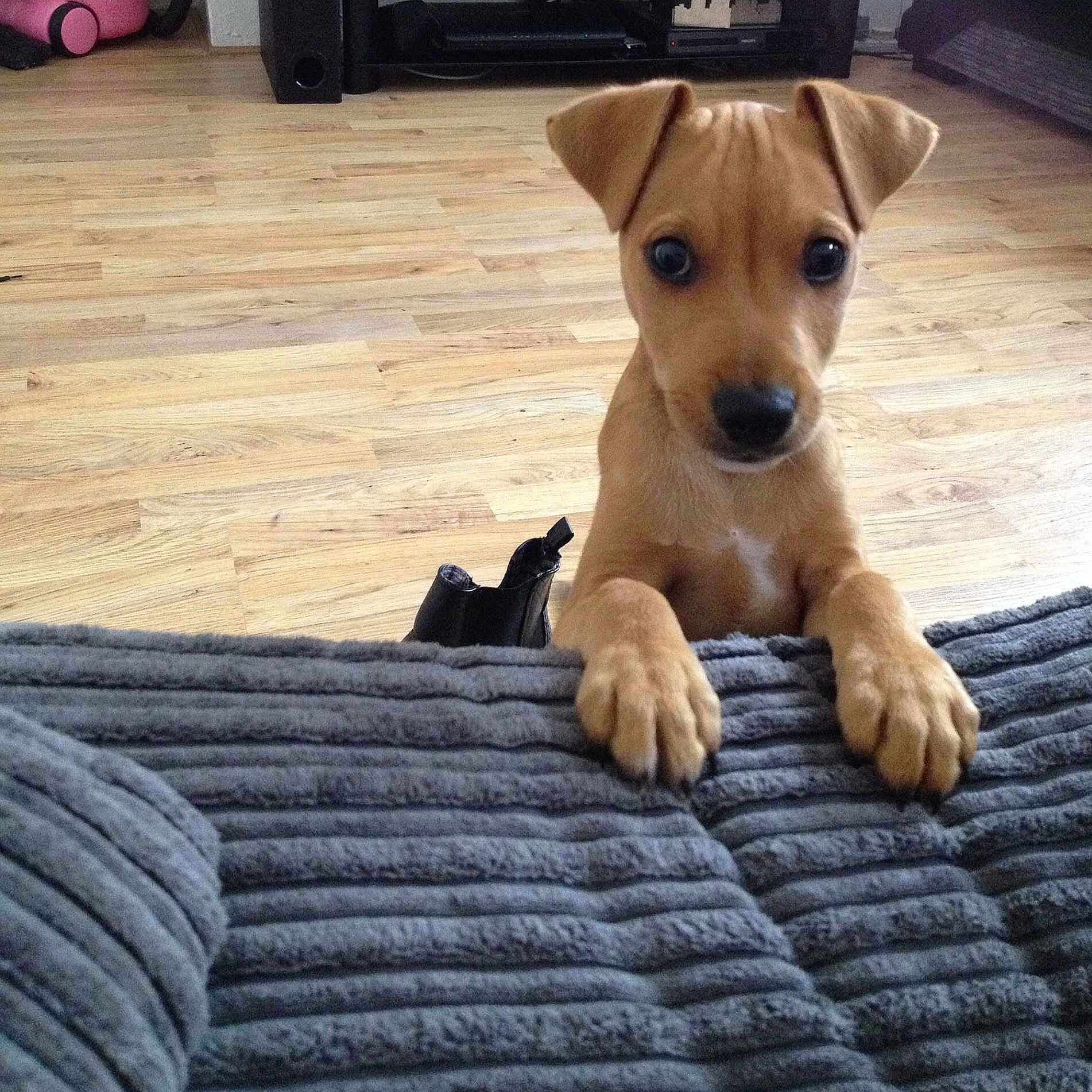 Lenny joined the competition — help win amazing prizes!