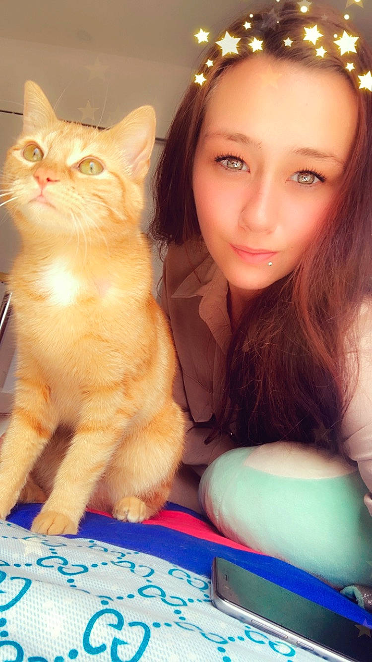 Akira participe au concours pour gagner de l'argent avec cette photo : beauty, blue, brown_hair, carnivore, cat, domestic_short_haired_cat, eye, eyelash, fawn, felidae, flash_photography, fur, gesture, hair, happy, head, skin, small_to_medium_sized_cats, whiskers, window