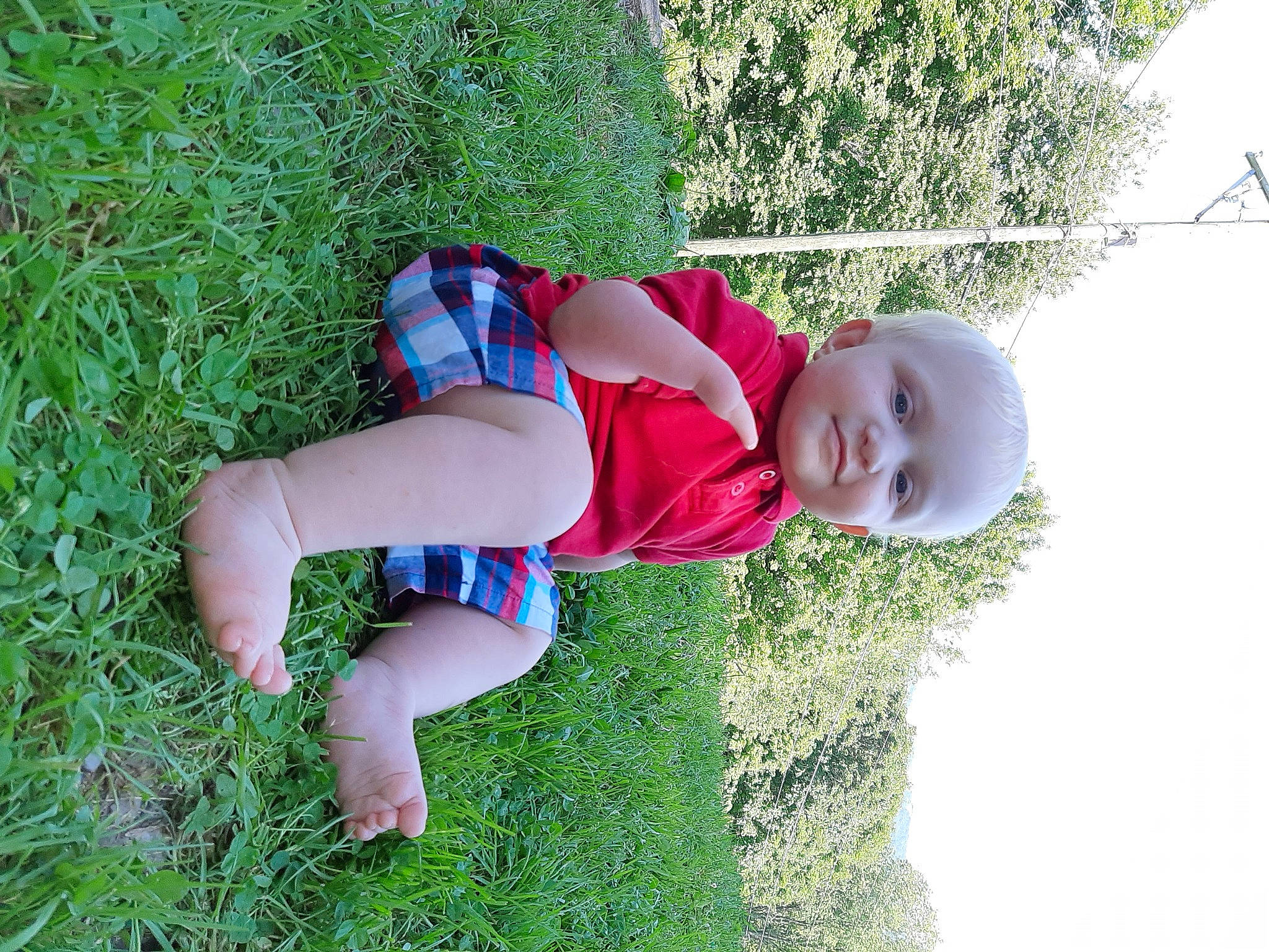 Dawson is registered to the contest to win money with this photo: baby, child, grass, leg, person, plant, toddler