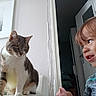 Mouna a rejoint le concours — aidez-le/la à gagner de superbes lots ! cat, child, indoors, portrait, closeup, sitting, whiskers, striped_fur, white_fur, tabby, pet, human, face, eyes, curious, window, doorway, home, natural_light, interaction