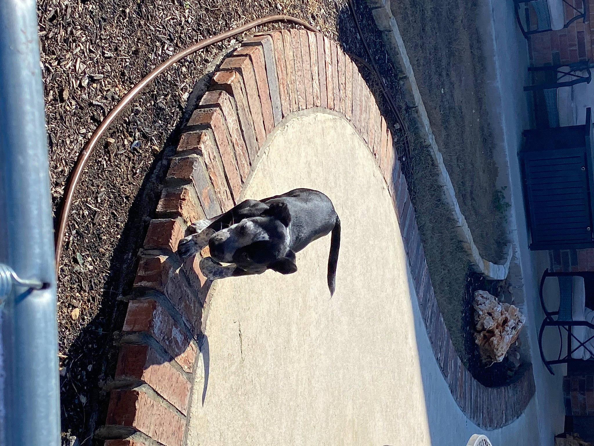 Opal joined the competition — help win amazing prizes! arch, art, auto_part, automotive_exterior, automotive_tire, automotive_wheel_system, bicycle_tire, city, facade, metal, pedestrian, road_surface, sculpture, shadow, sidewalk, statue, street, vehicle_door, wheel, wood