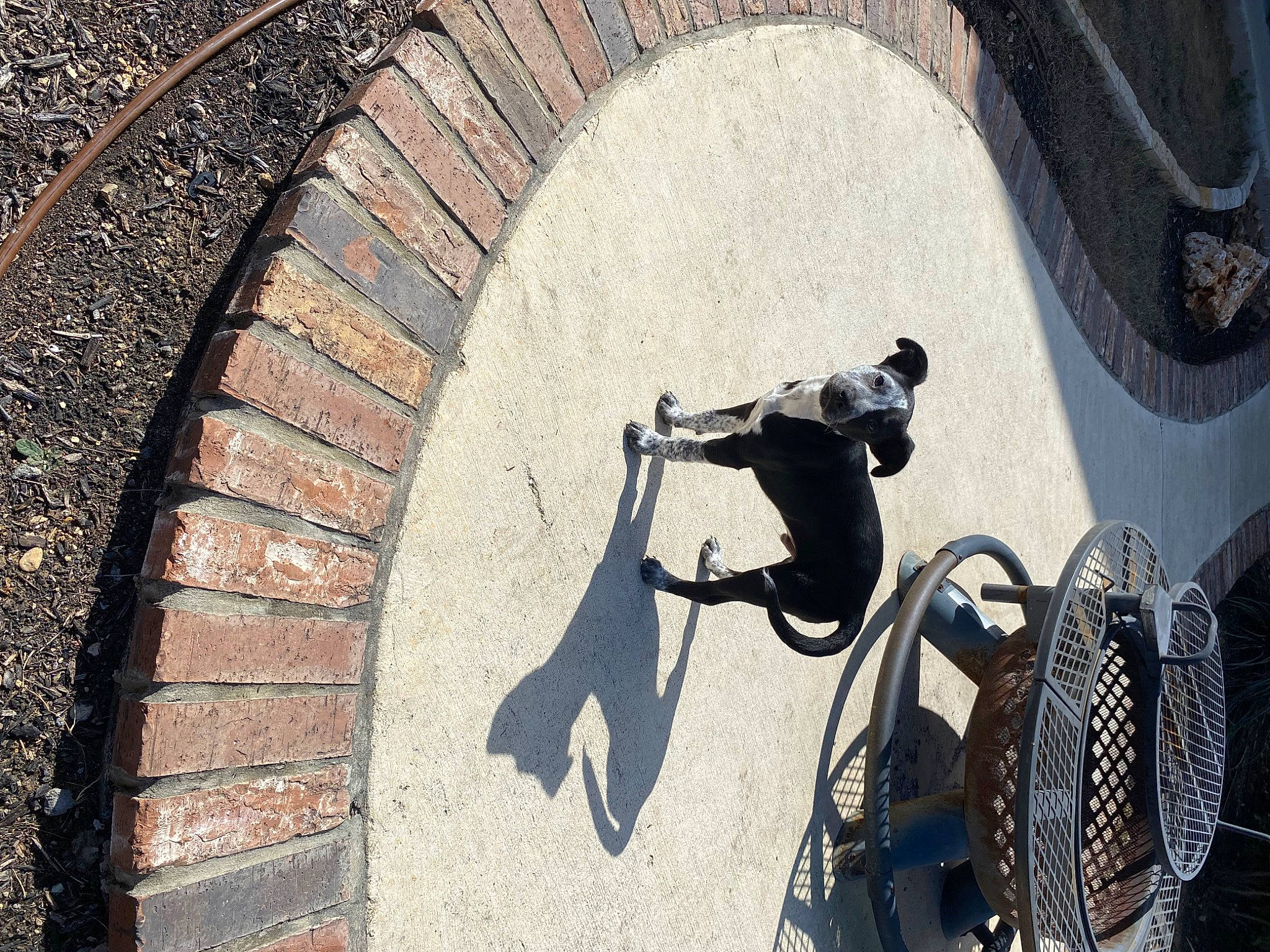 Opal joined the competition — help win amazing prizes! arch, art, automotive_tire, automotive_wheel_system, bicycle_tire, brick, brickwork, circle, concrete, helmet, mechanical_fan, metal, road_surface, rolling, shadow, sidewalk, spoke, wall, wheel, wood
