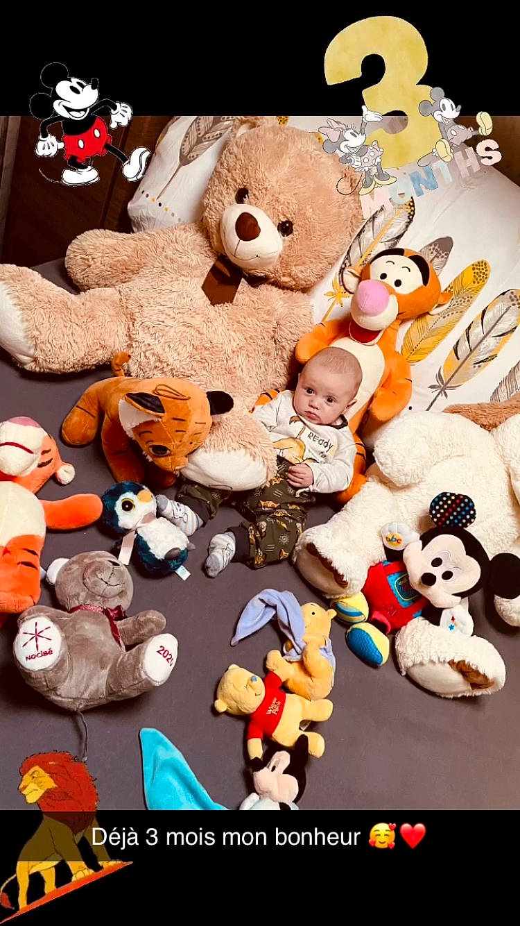 Sanders participe au concours pour gagner de l'argent avec cette photo : animated_cartoon, animation, baby_toys, brown, carmine, event, fiction, fictional_character, font, games, happy, mammal, orange, person, plush, red, stuffed_toy, teddy_bear, textile, toy