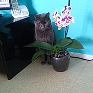 Gribouille a rejoint le concours — aidez-le/la à gagner de superbes lots !