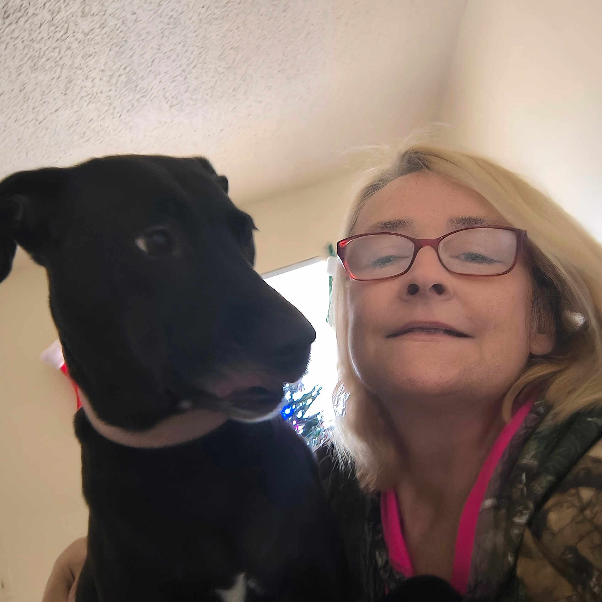 Sasha is registered to the contest to win money with this photo: woman, dog, black_dog, glasses, indoor, portrait, blonde_hair, pet, smile, face, human, canine, casual_clothing, holiday_decor, window, light, friendship, cozy, closeup, companion
