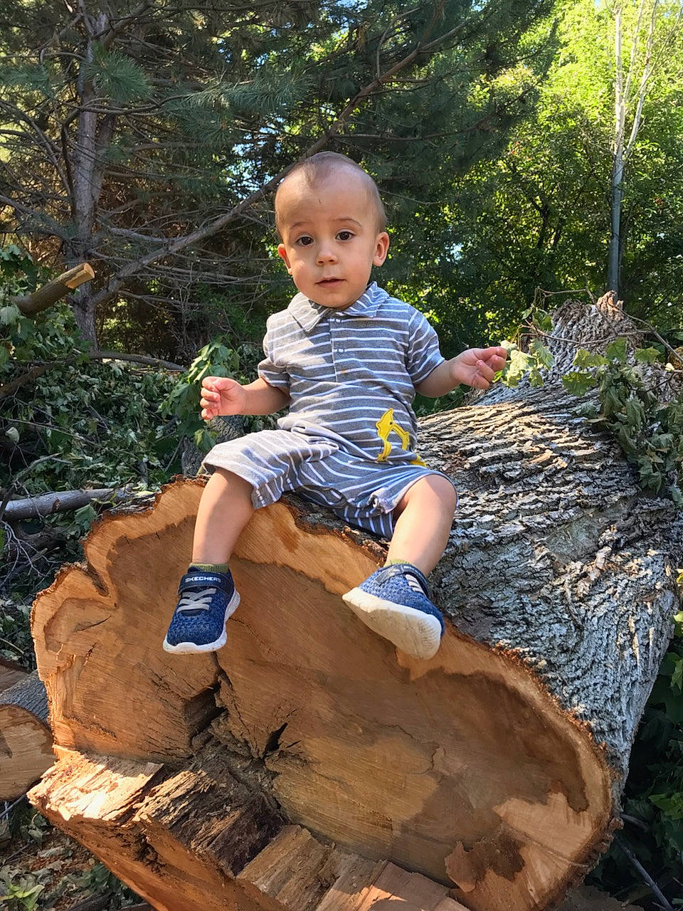 Zadyn is registered to the contest to win money with this photo: person, plant, rock, tree, trunk