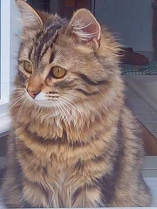 Chistera participe au concours pour gagner de l'argent avec cette photo :