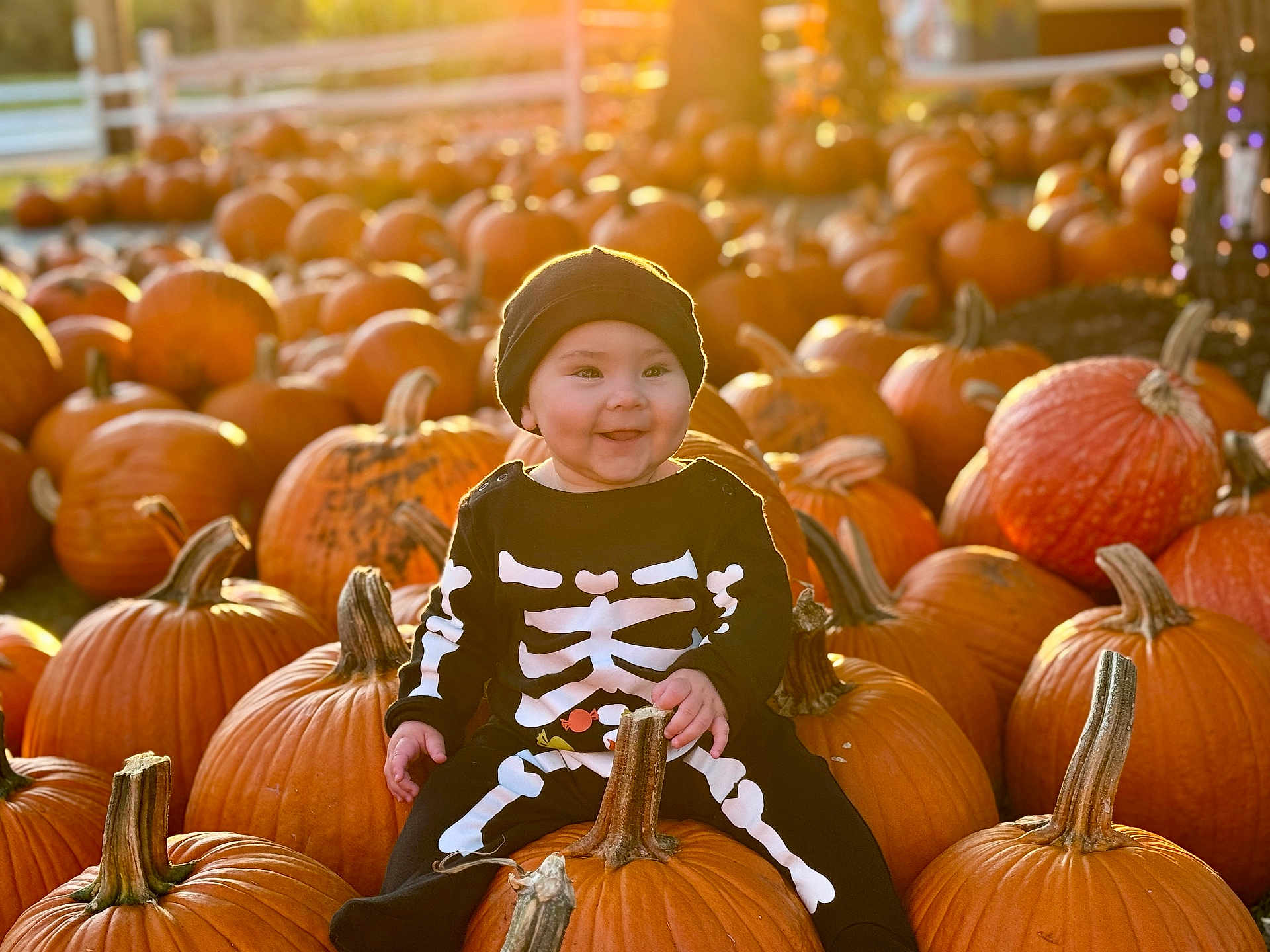 Riley Bea is registered to the contest to win money with this photo: baby, child, pumpkin, pumpkin_patch, autumn, fall, outdoor, smiling, black_clothing, hat, cute, seasonal, holiday, nature, sunlight, orange, festive, skeleton_costume, happy, sitting