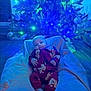 baby, child, christmas_tree, holiday_lights, blue_lighting, red_onesie, bear_pattern, blanket, infant, indoors, flooring, festive, decorations, ornaments, relaxing, soft_texture, holiday, cute, person, portrait
