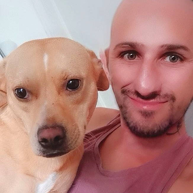 Thaïyna participe au concours pour gagner de l'argent avec cette photo : beard, carnivore, companion_dog, cool, dog, dog_breed, ear, eyelash, fawn, gesture, happy, iris, jaw, mammal, mouth, nose, skin, smile, vertebrate, working_animal