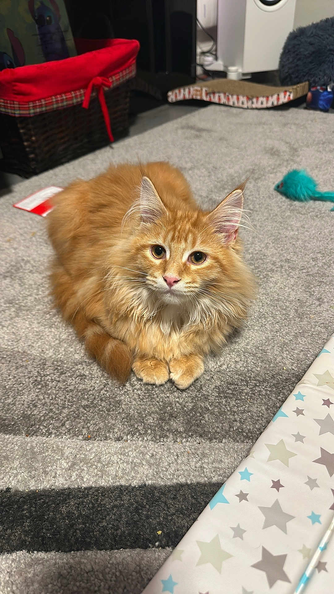 Loki