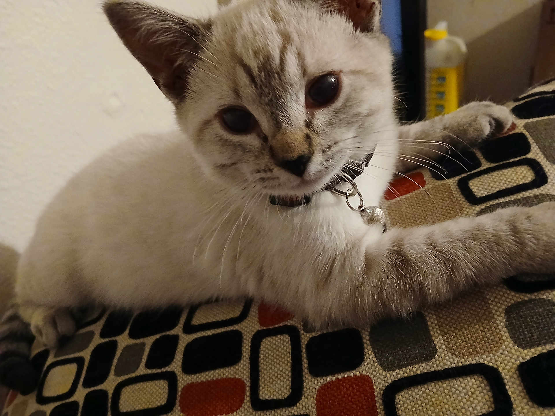 Rizzo