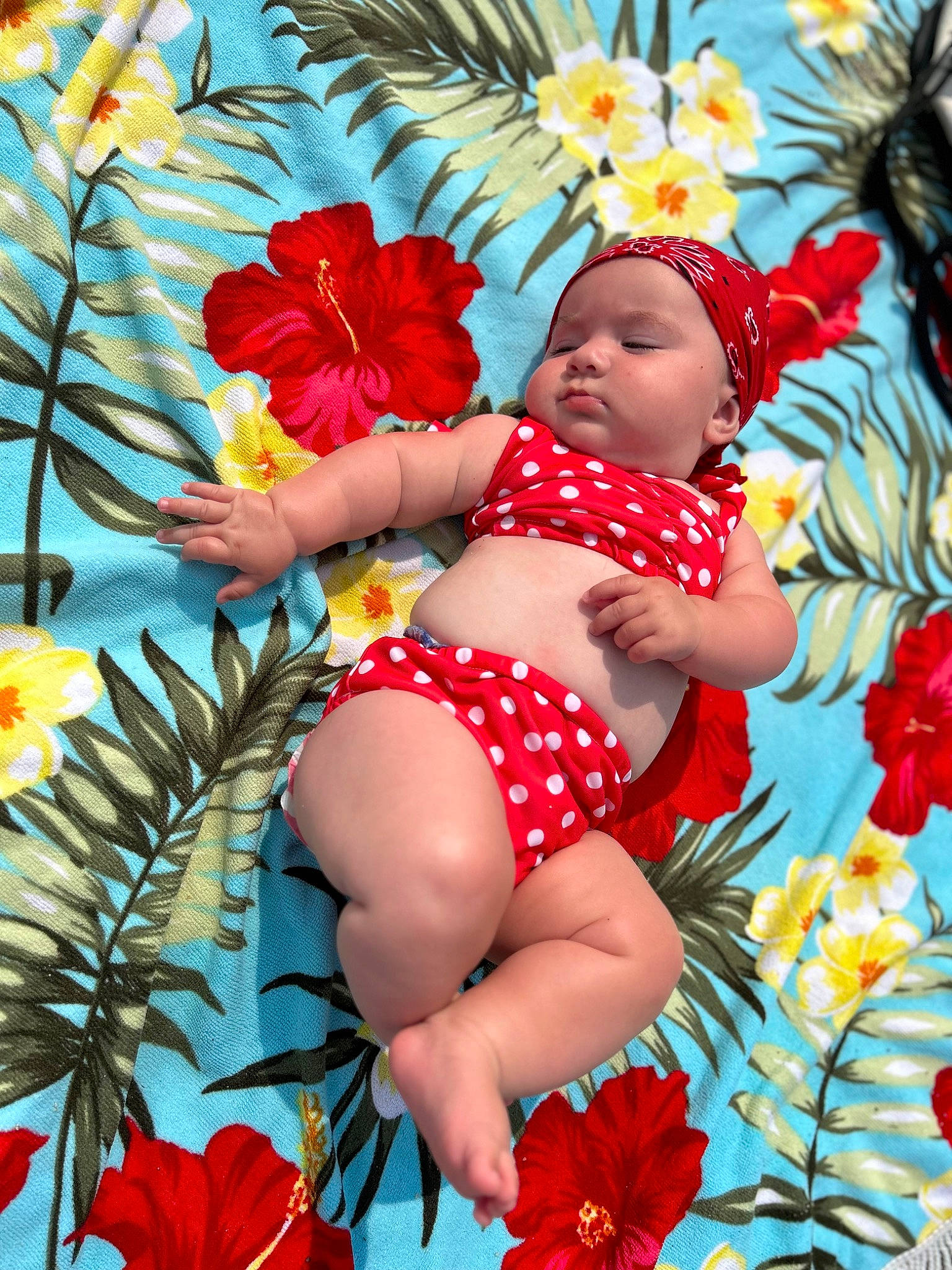 Mylie participe au concours pour gagner de l'argent avec cette photo : abdomen, arm, baby, beauty, botany, flower, grass, happy, hat, human_body, leaf, nature, people_in_nature, person, petal, plant, red, summer, textile, thigh