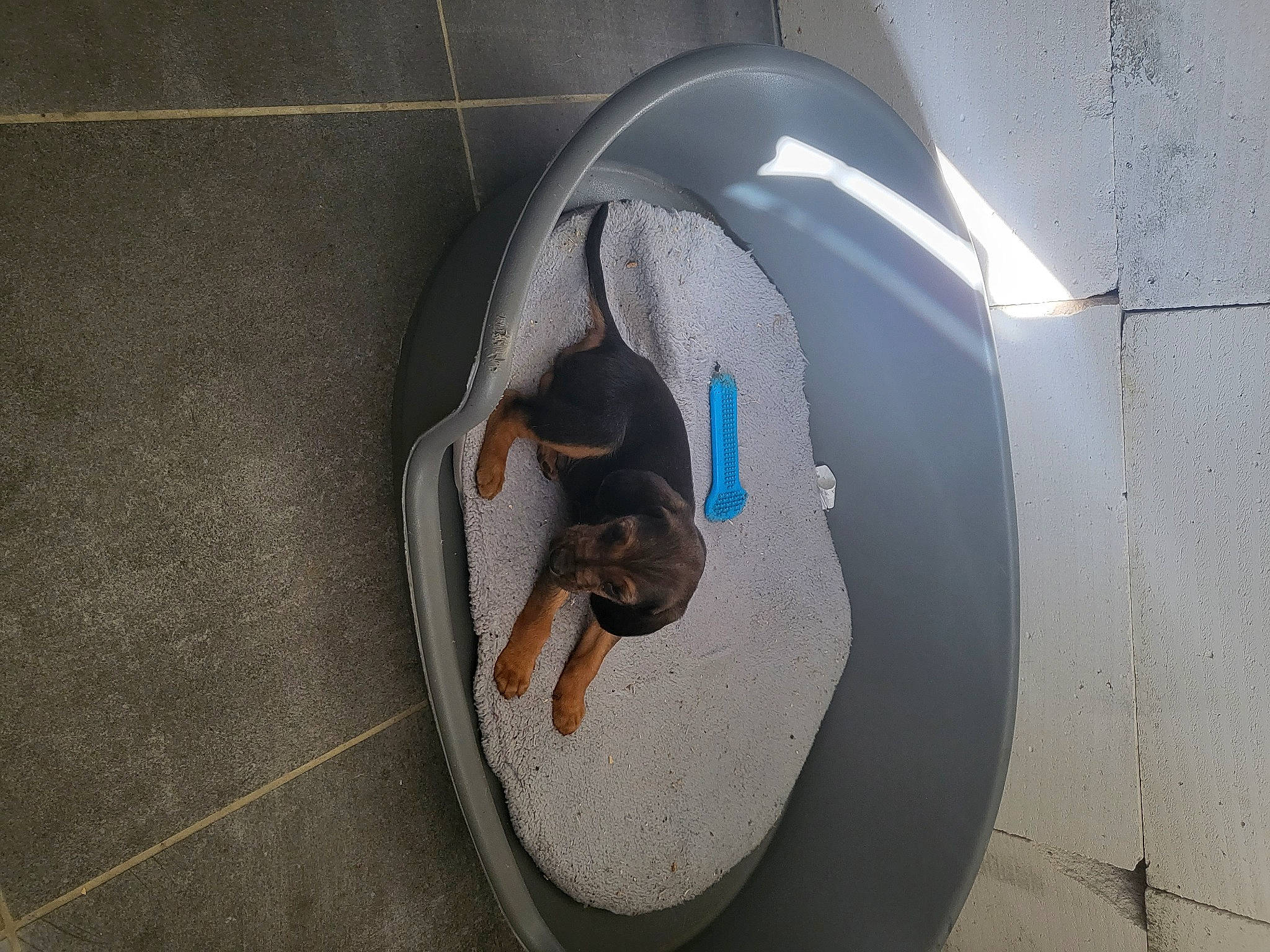 Sultant a rejoint le concours — aidez-le/la à gagner de superbes lots ! asphalt, auto_part, automotive_design, automotive_lighting, automotive_tire, automotive_wheel_system, circle, comfort, concrete, flooring, gas, grey, hubcap, outdoor_shoe, pipe, plumbing_fixture, rim, road_surface, snout, vehicle_door