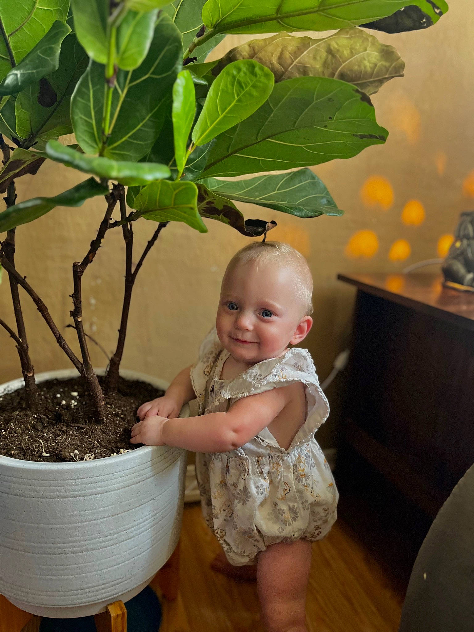 Ayden joined the competition — help win amazing prizes! baby, baby_toddler_clothing, child, flowering_plant, flowerpot, fun, grass, green, happy, herb, houseplant, joy, leaf, leaf_vegetable, person, plant, plant_stem, produce, smile, soil