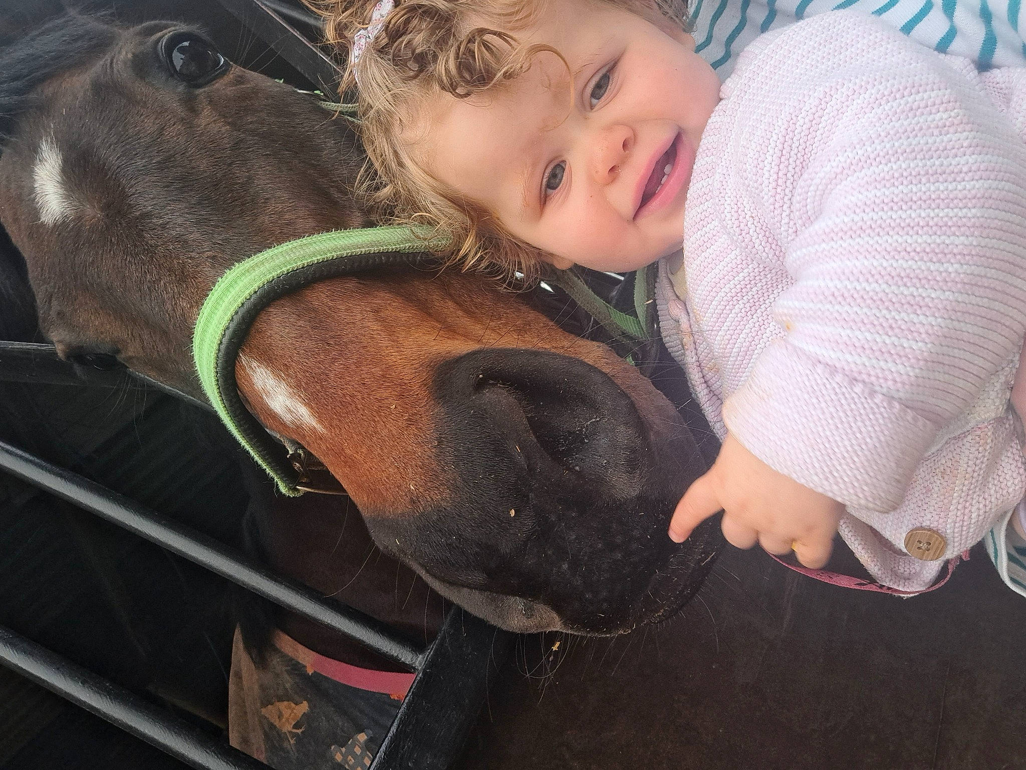 Evalynn is registered to the contest to win money with this photo: baby, baby_products, baby_toddler_clothing, carnivore, child, comfort, dog_breed, eye, facial_expression, fun, happy, head, leash, liver, person, personal_protective_equipment, sitting, skin, smile, toddler