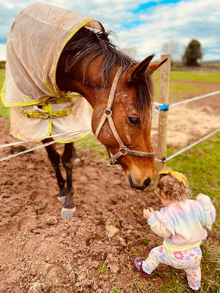 Evalynn is registered to the contest to win money with this photo: bit, bridle, equestrian_sport, grass, grassland, horse, horse_supplies, horse_tack, landscape, liver, livestock, mane, pack_animal, person, plant, rein, saddle, sky, snout, sorrel