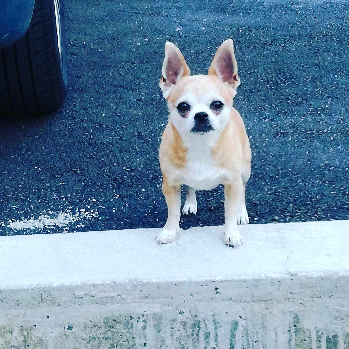 Nina