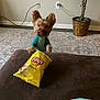 dog, small_dog, blue_outfit, lay's_chips, chip_bag, table, brown_table, plant, wicker_basket, rug, patterned_rug, wall, electrical_outlet, curious, tongue_out, indoor, living_room, pet, cute, mischievous