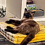 cat, siamese_cat, pet, indoor, cushion, yellow, furniture, relaxing, looking_back, fur, tail, wooden_table, board_games, candle_holder, shelf, cozy, animal, mammal, domestic, resting
