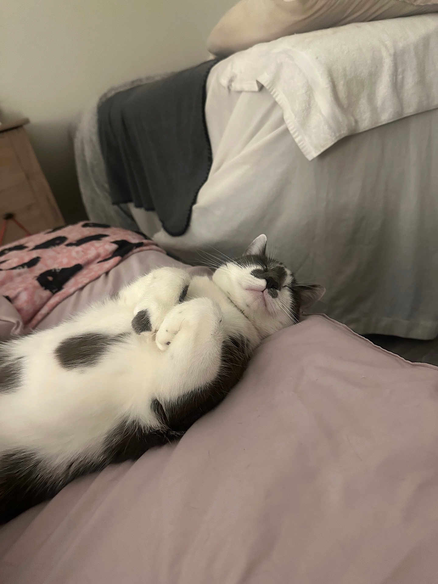 Tobi