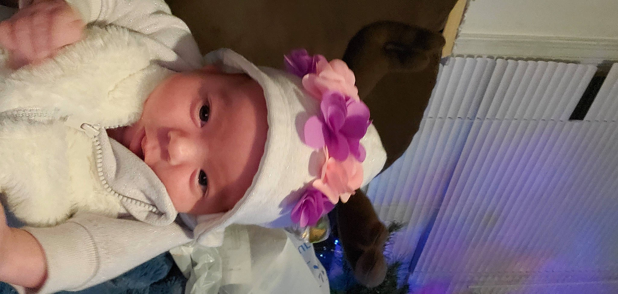 Shiloh Jade is registered to the contest to win money with this photo: baby, baby_toddler_clothing, cheek, child, chin, eyebrow, eyelash, happy, headgear, headwear, iris, lip, mouth, nose, person, petal, pink, purple, skin, smile