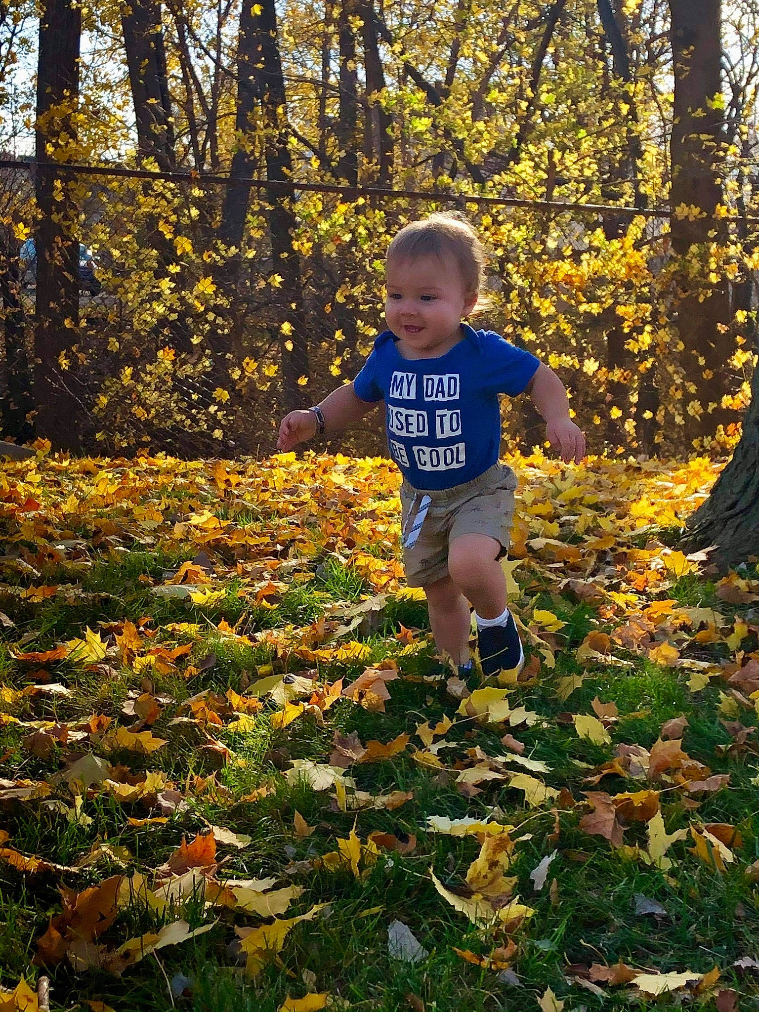 Grayson Tyler is registered to the contest to win money with this photo: child, deciduous, forest, grass, happy, landscape, leaf, leisure, natural_landscape, people_in_nature, person, plant, sunlight, temperate_broadleaf_and_mixed_forest, tints_and_shades, toddler, tree, trunk, wood, woodland
