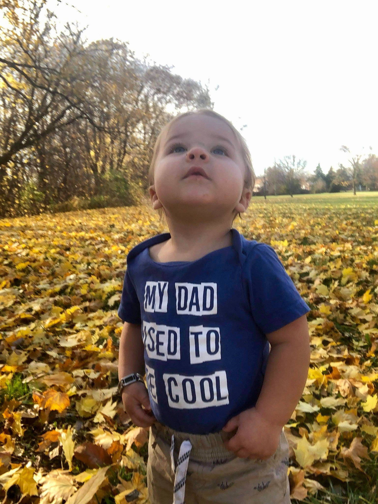 Grayson Tyler joined the competition — help win amazing prizes! agriculture, autumn, baby, baby_toddler_clothing, child, deciduous, fun, grass, grassland, happy, landscape, people_in_nature, person, plant, sky, sleeve, soil, t_shirt, toddler, tree