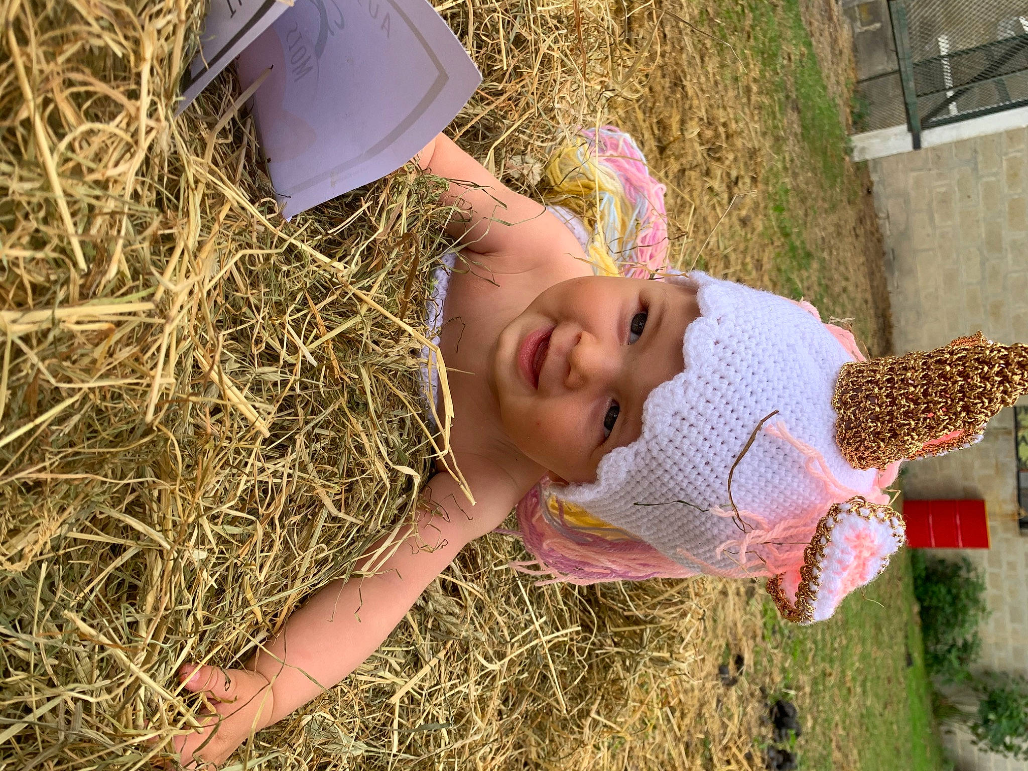 élyna participe au concours pour gagner de l'argent avec cette photo : child, fawn, fun, grass, grass_family, happy, hay, headwear, person, pink, plant, smile, straw, toddler