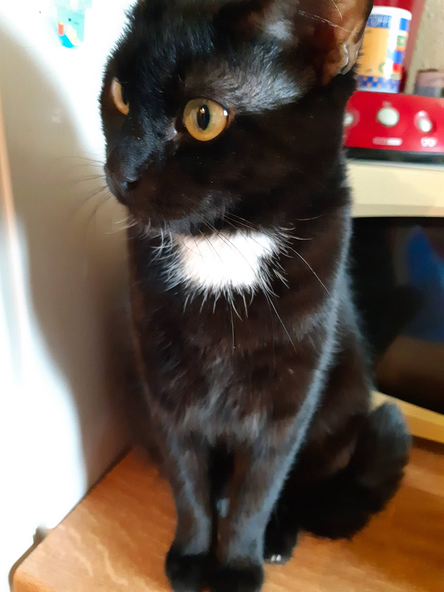 Noisette
