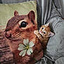 animal, blanket, chipmunk_image, claw, closeup, cozy, cushion, cute, eyes, flower, fur, indoor, kitten, orange_cat, pet, pillow, portrait, resting, soft_texture, whiskers