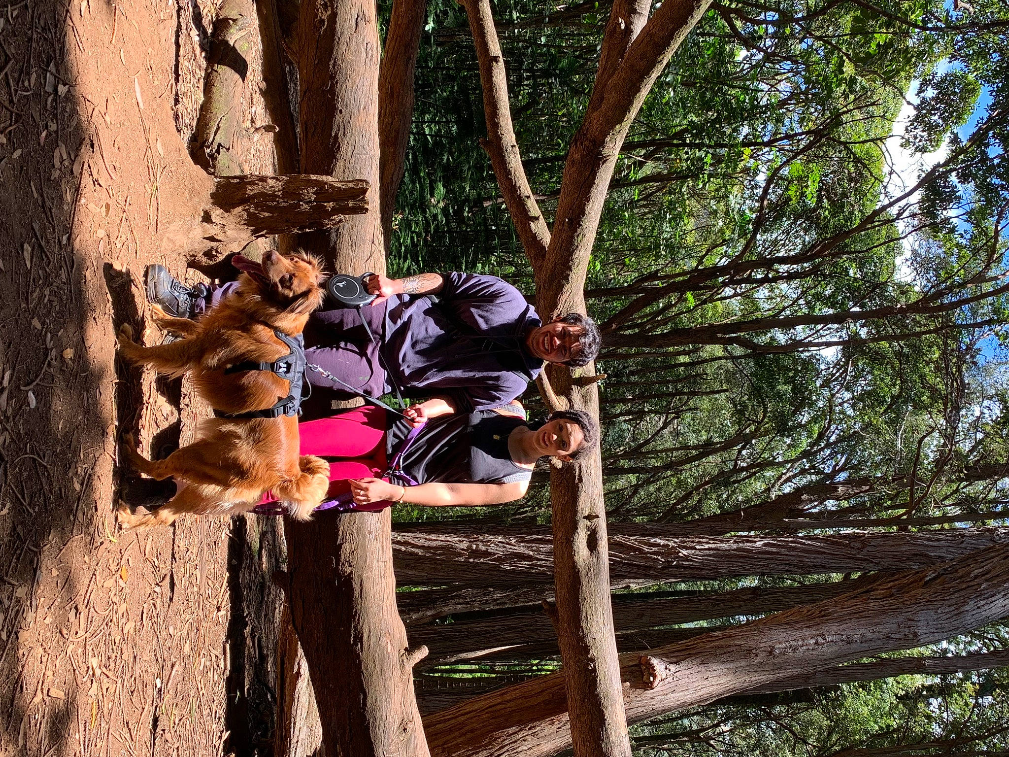 Riley is registered to the contest to win money with this photo: adventure, boot, branch, forest, fun, happy, jungle, landscape, leisure, northern_hardwood_forest, people_in_nature, plant, recreation, soil, toddler, tree, trunk, twig, wood, woodland