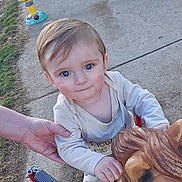 Peyton joined the competition — help win amazing prizes! toddler, child, blue_eyes, outdoor, playground, toy, lion, hand, concrete, grass, long_sleeve_shirt, person, cute, young_child, daylight, playing, support, expression, face, closeup