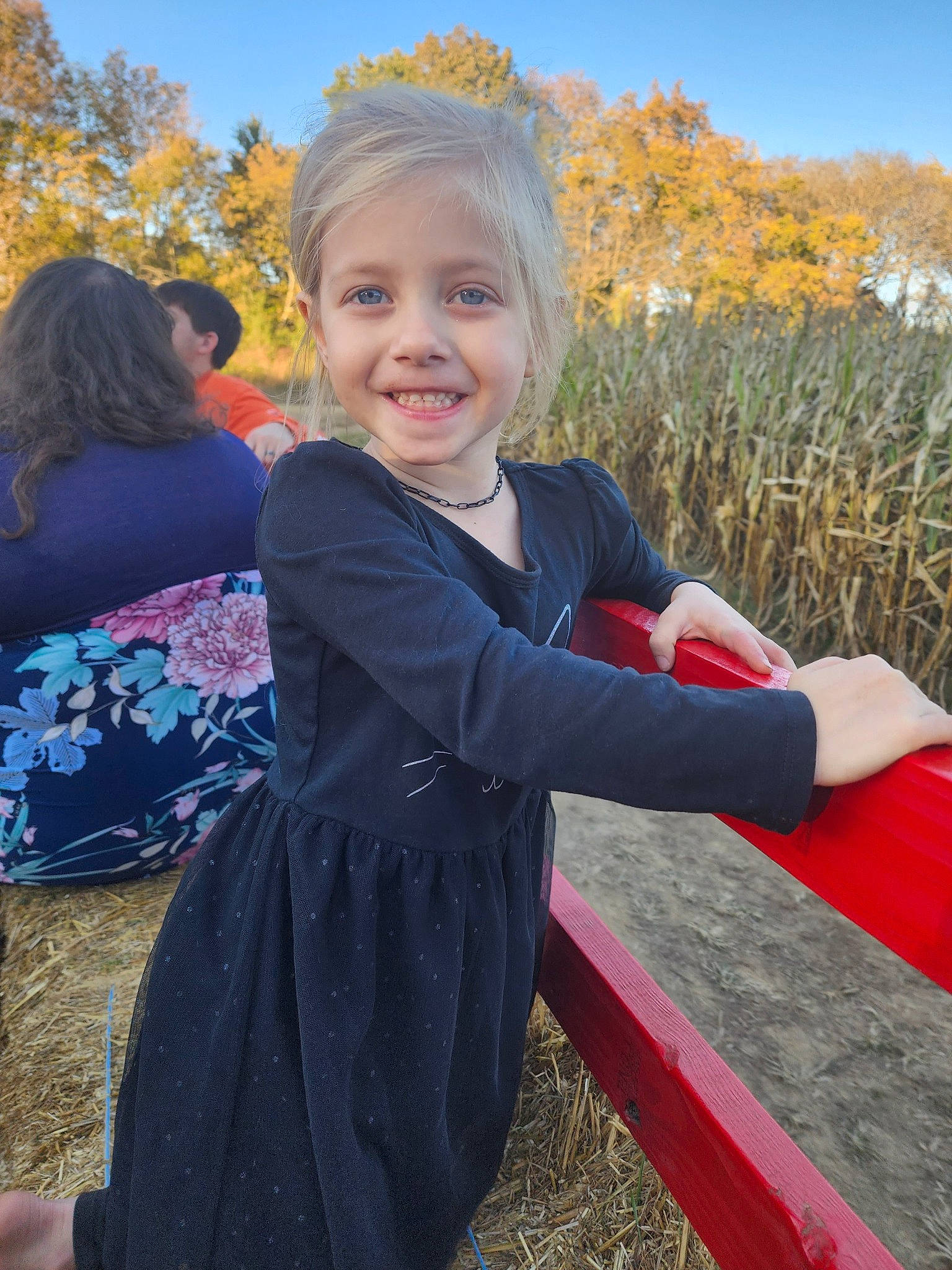 Abigail is registered to the contest to win money with this photo: blond, botany, electric_blue, event, fun, grass, happy, human_body, joy, leisure, people_in_nature, person, plant, recreation, sky, sleeve, smile, summer, textile, toddler