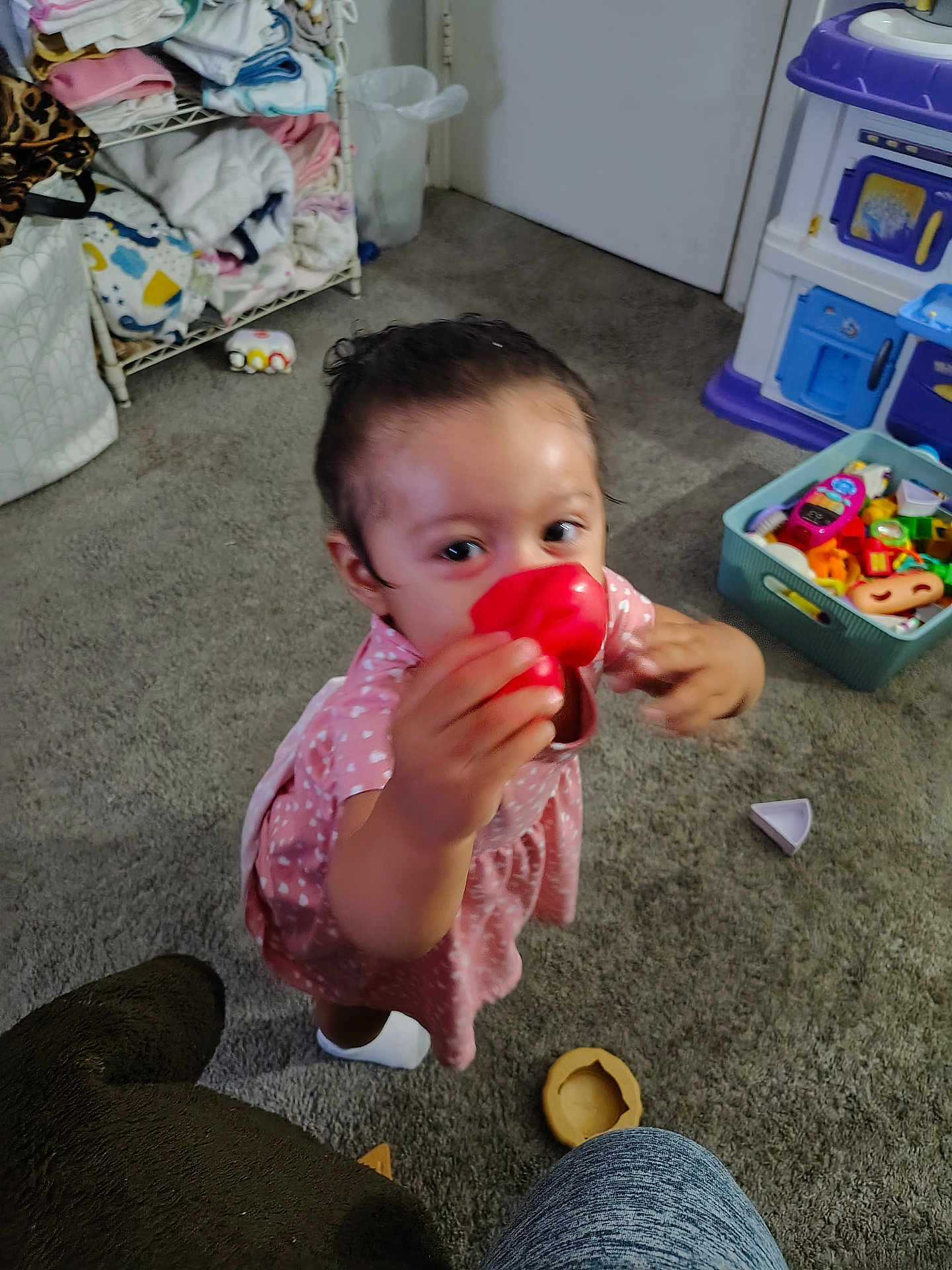 Gianna Renae Mcclure is registered to the contest to win money with this photo: toddler, child, toy, pink_dress, carpet, indoor, playtime, red_toy, face, hand, floor, furniture, storage_bin, clothing, person, young_child, home, play_kitchen, socks, curious
