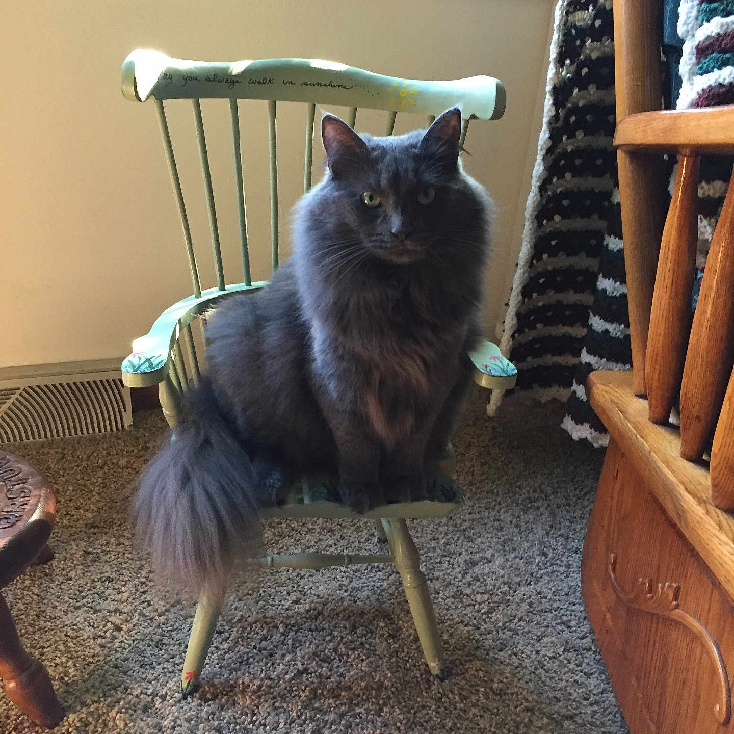 Gracie