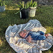 Emory is registered to the contest to win money with this photo: baby, grass, blanket, tree, bucket, corn, nature, outdoor, child, sleeping, denim, overalls, shade, sunlight, relaxation, farm, greenery, peaceful, summer, portrait