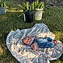baby, grass, blanket, tree, bucket, corn, nature, outdoor, child, sleeping, denim, overalls, shade, sunlight, relaxation, farm, greenery, peaceful, summer, portrait