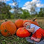 Luka joined the competition — help win amazing prizes! baby, pumpkin, orange_clothing, pacifier, blanket, grass, outdoor, fall, nature, child, hat, field, autumn, relaxing, cute, infant, toy, seasonal, portrait, sky