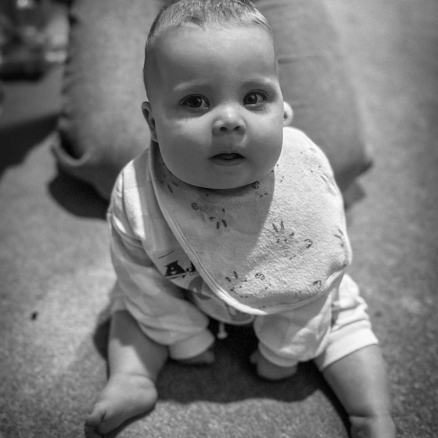 Isabella joined the competition — help win amazing prizes! baby, bib, black_and_white, carpet, child, clothing, cozy, cute, expression, eyes, face, floor, indoors, infant, legs, person, portrait, sitting, soft_light, young