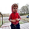 child, toddler, hoodie, red_clothing, snow, outdoor, porch, winter, curious, standing, street, trash_bin, trees, cold_weather, sidewalk, daytime, casual_clothing, young_child, expression, nature