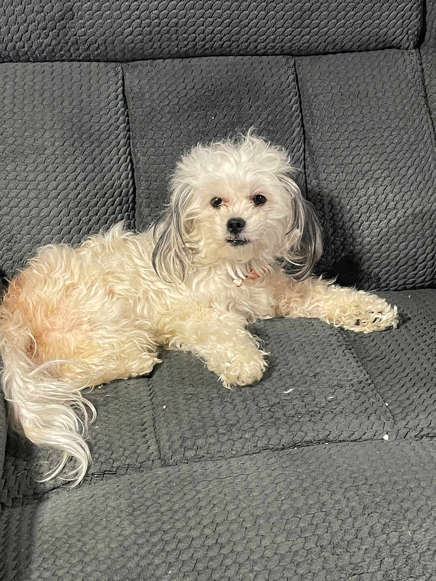Izzy