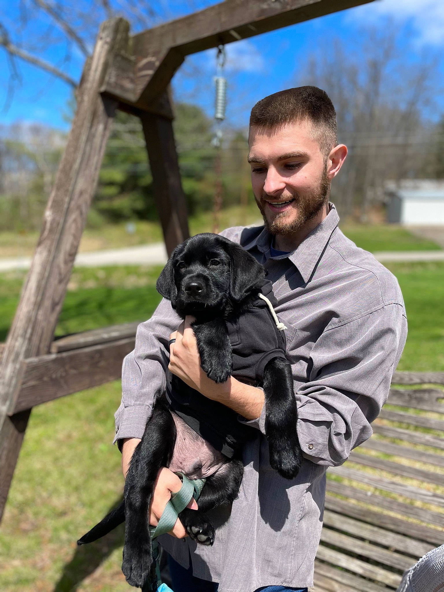 Vader is registered to the contest to win money with this photo: camera_lens, canidae, carnivore, collar, companion_dog, dog, dog_breed, dog_collar, fawn, fur, grass, hand, sky, smile, snout, sporting_group, street_fashion, toy_dog, tree, wildlife_biologist