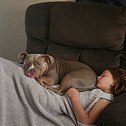 Molly is registered to the contest to win money with this photo: blanket, brown, casual, child, comfort, companion, couch, cozy, dog, domestic, furniture, home, indoor, nap, pet, quiet, relaxing, rest, sleeping, young