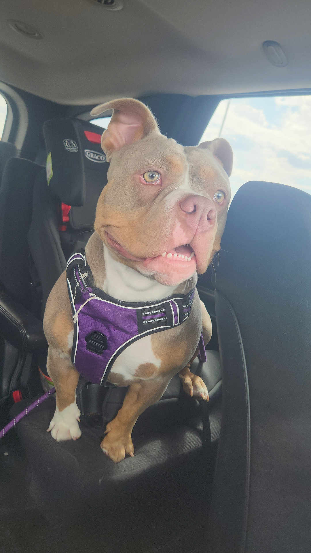 Molly