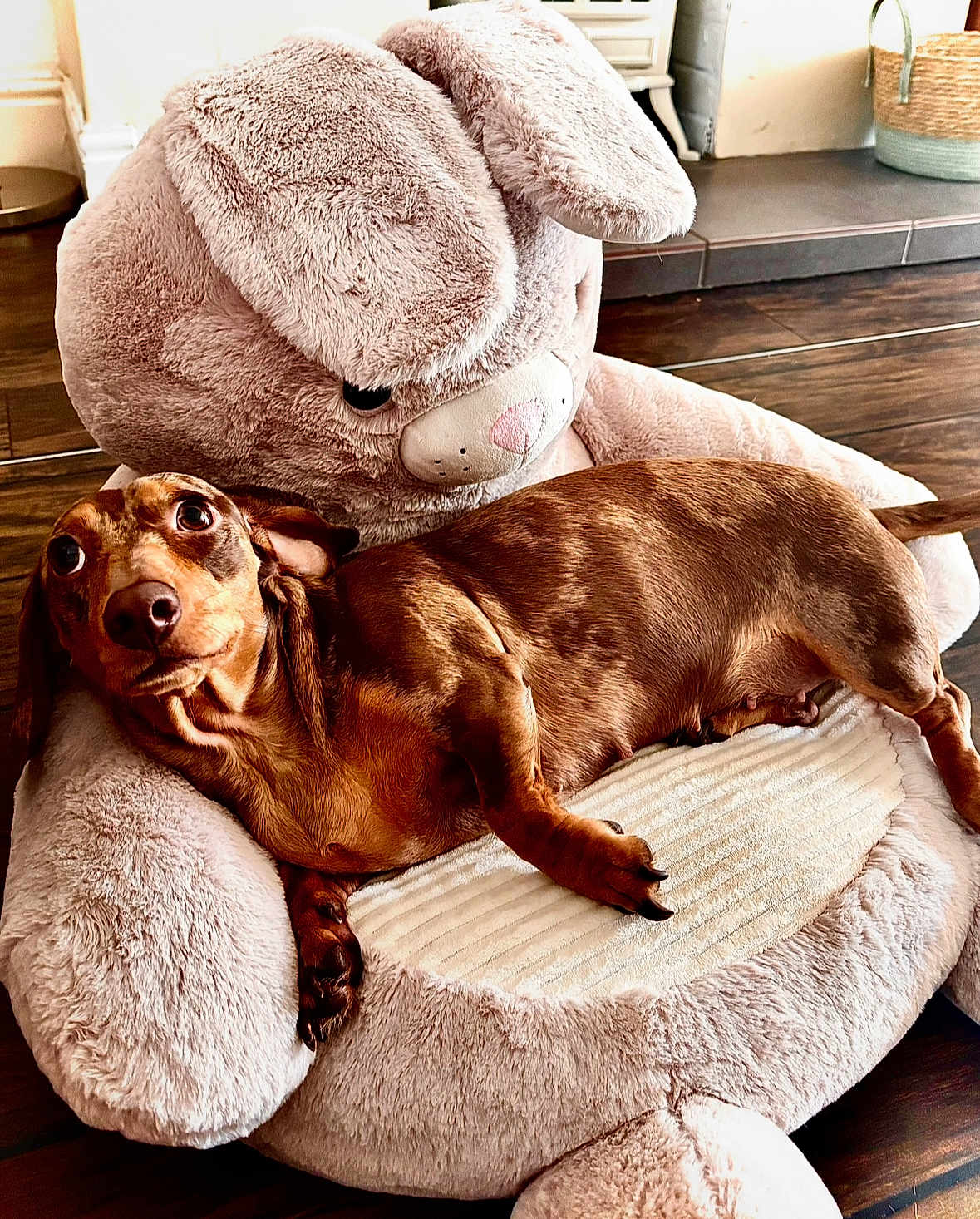 Minnie