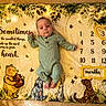 baby, infant, blanket, winnie_the_pooh, onesie, green_clothing, numbers, months, heart_shape, fairy_lights, cartoon_characters, leaves, butterflies, milestone, cute, lying_down, indoor, soft_texture, child, portrait